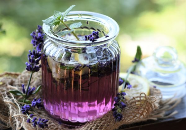 lavender-4355523_1920